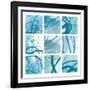 Underwater-Moira Hershey-Framed Art Print