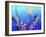 Underwater-RUNA-Framed Giclee Print