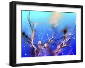 Underwater-RUNA-Framed Giclee Print