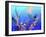 Underwater-RUNA-Framed Giclee Print