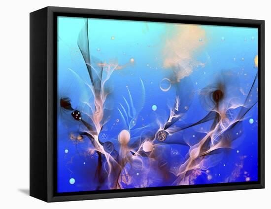 Underwater-RUNA-Framed Stretched Canvas
