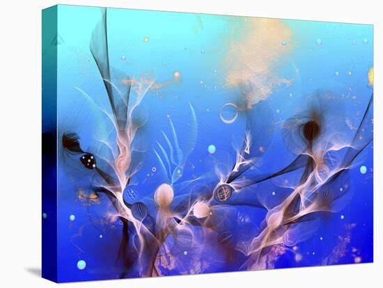 Underwater-RUNA-Stretched Canvas