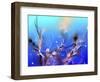 Underwater-RUNA-Framed Giclee Print