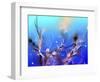 Underwater-RUNA-Framed Giclee Print