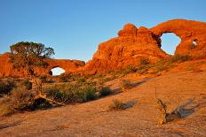 Twin Arches from 205-Underwatermaui-Photographic Print