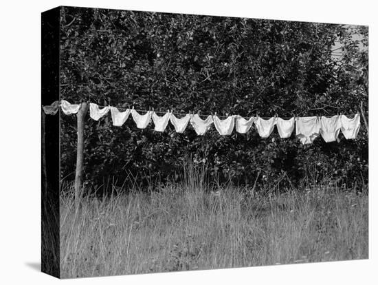 Underwear Hanging to Dry-Owen Franken-Stretched Canvas