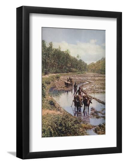 Premium Photographic Print, , large