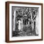 Brown Frame