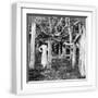 White Frame