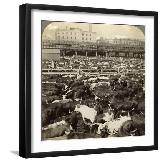 Premium Photographic Print, , large