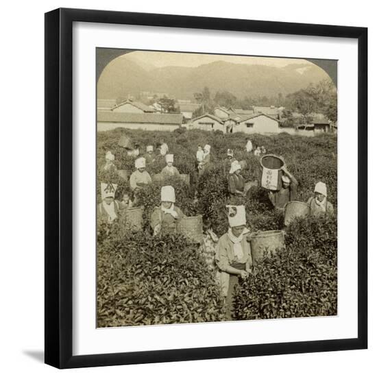 Premium Photographic Print, , large