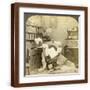 Brown Frame