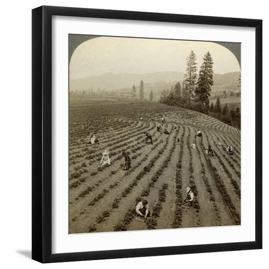 Premium Photographic Print, , large