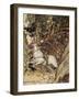 Undine by Friedrich de la Motte Fouqué-Arthur Rackham-Framed Giclee Print