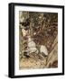 Undine by Friedrich de la Motte Fouqué-Arthur Rackham-Framed Giclee Print