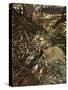 Undine by Friedrich de la Motte Fouqué-Arthur Rackham-Stretched Canvas