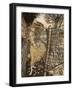 Undine by Friedrich de la Motte Fouqué-Arthur Rackham-Framed Giclee Print