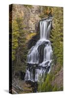 Undine Falls, Yellowstone National Park, Wyoming-Adam Jones-Stretched Canvas