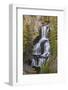 Undine Falls, Yellowstone National Park, Wyoming-Adam Jones-Framed Photographic Print