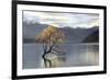 Undisturbed-Michael Cahill-Framed Giclee Print