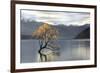 Undisturbed-Michael Cahill-Framed Giclee Print