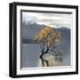 Undisturbed-Michael Cahill-Framed Giclee Print