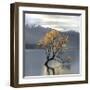 Undisturbed-Michael Cahill-Framed Giclee Print