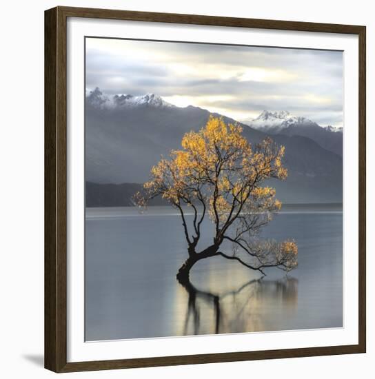 Undisturbed-Michael Cahill-Framed Giclee Print