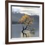 Undisturbed-Michael Cahill-Framed Giclee Print