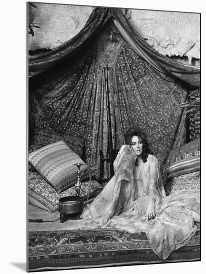 Une Belle Tigresse ZEE & CO by Brian Hutton with Elizabeth Taylor, 1972 (b/w photo)-null-Mounted Photo