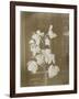 Une branche de fleur d'orchidées ; fond intérieur maison (fonds Gallé)-null-Framed Giclee Print