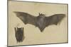 Une chauve-souris les ailes déployées, une autre les ailes repliées-Albrecht Dürer-Mounted Giclee Print