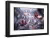 Une Fleur, une Histoire-Fabien BRAVIN-Framed Photographic Print