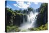 Unesco World Heritage Site, Foz De Iguacu, Argentina-Michael Runkel-Stretched Canvas