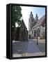 UNESCO World Heritage Site, Luther's Town of Wittenberg, Saxony-Anhalt, Germany-Michael Runkel-Framed Stretched Canvas