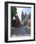 UNESCO World Heritage Site, Luther's Town of Wittenberg, Saxony-Anhalt, Germany-Michael Runkel-Framed Photographic Print