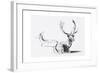 Unexpected Autumn Sun-Mark Adlington-Framed Giclee Print