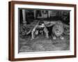 Brown Frame