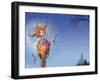 Unexpected Landing-Francois Ruyer-Framed Giclee Print