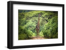 Unexpected Meeting-Kirill Trubitsyn-Framed Photographic Print