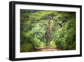 Unexpected Meeting-Kirill Trubitsyn-Framed Photographic Print