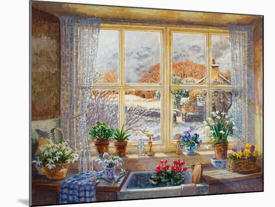 Unexpected Snowfall-Stephen Darbishire-Mounted Giclee Print