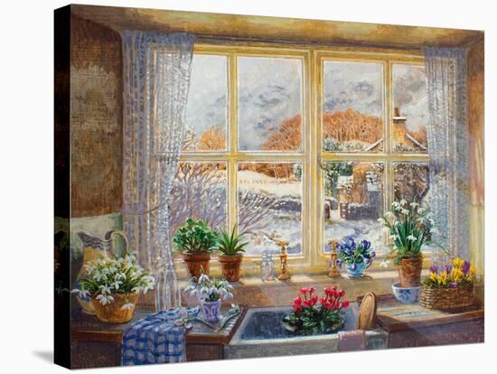 Unexpected Snowfall-Stephen Darbishire-Stretched Canvas