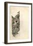 Unfinished 'Bird and Vine' Wood Block Design for Wallpaper, 1878 (Pencil and W/C on Paper)-William Morris-Framed Giclee Print