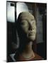 Unfinished Brown Quartzite Head of Queen Nefertiti from New Kingdom-null-Mounted Giclee Print