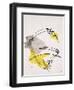 Unfinished Song VI-Rikki Drotar-Framed Giclee Print