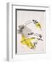 Unfinished Song VI-Rikki Drotar-Framed Giclee Print