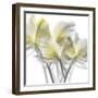 Unfocused Light 2-Albert Koetsier-Framed Photographic Print