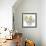 Unfocused Light 2-Albert Koetsier-Framed Photographic Print displayed on a wall