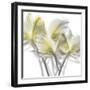 Unfocused Light 2-Albert Koetsier-Framed Photographic Print